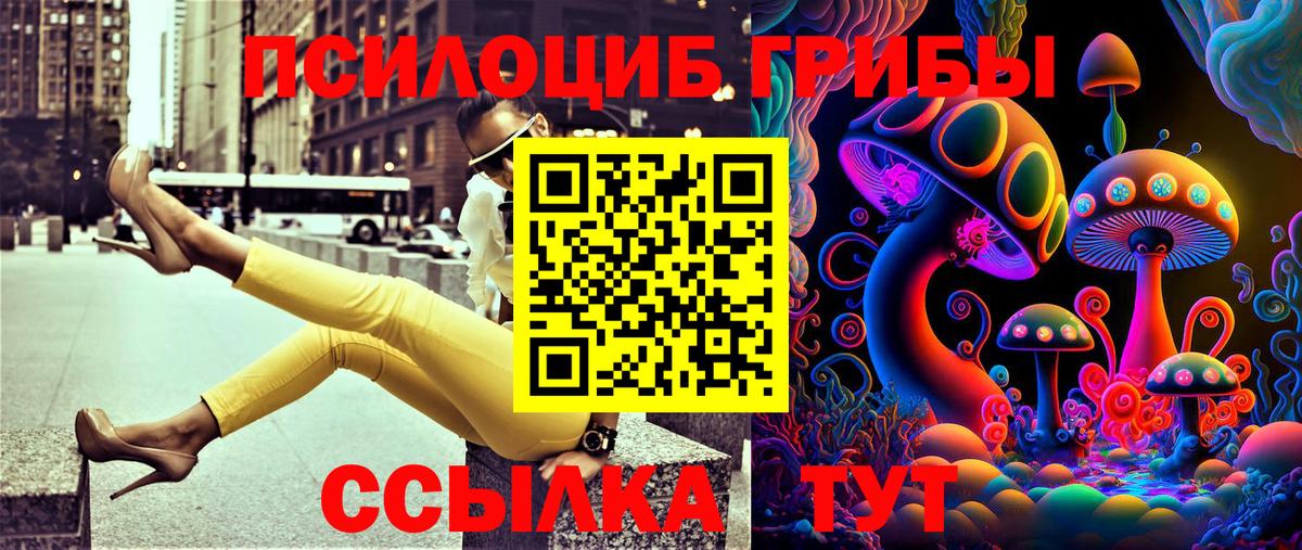 Галлюциногенные грибы мицелий  Псилоцибиновые грибы Psilocybine cubensis  Новозыбков  Вход с VPN 