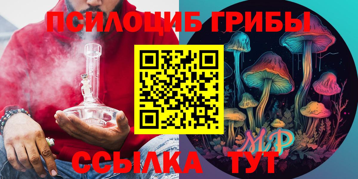 Галлюциногенные грибы Cubensis Новозыбков